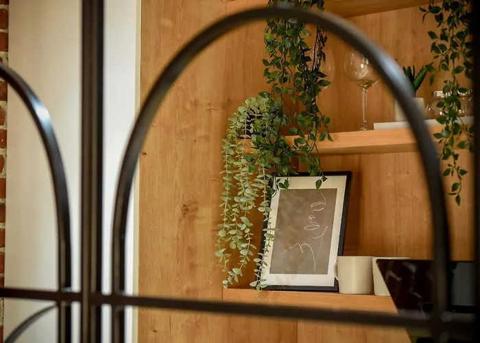 The White Queen - Amazing With Dambovita View Apartmán