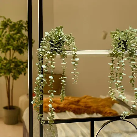 Apartamento The White Queen - Amazing With Dambovita View *