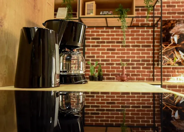 Appartement The White Queen - Amazing With Dambovita View