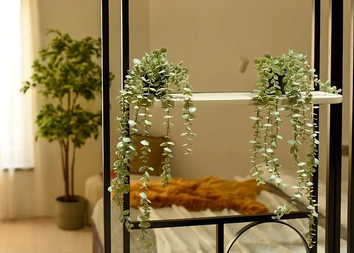 Apartamento The White Queen - Amazing With Dambovita View *