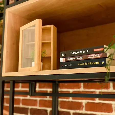 Appartamento The White Queen - Amazing With Dambovita View *